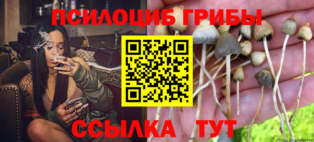 Галлюциногенные грибы прущие грибы  Вход с VPN  Жуковский  продажа наркотиков  Псилоцибиновые грибы Psilocybine cubensis 